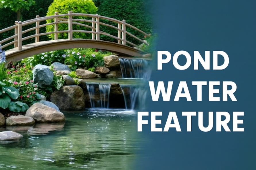 Sculpt Your Pond into a Tranquil Oasis with Pond Water Features