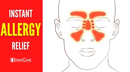 How to Use Montelukast Safely for Long-Term Allergy Relief?
